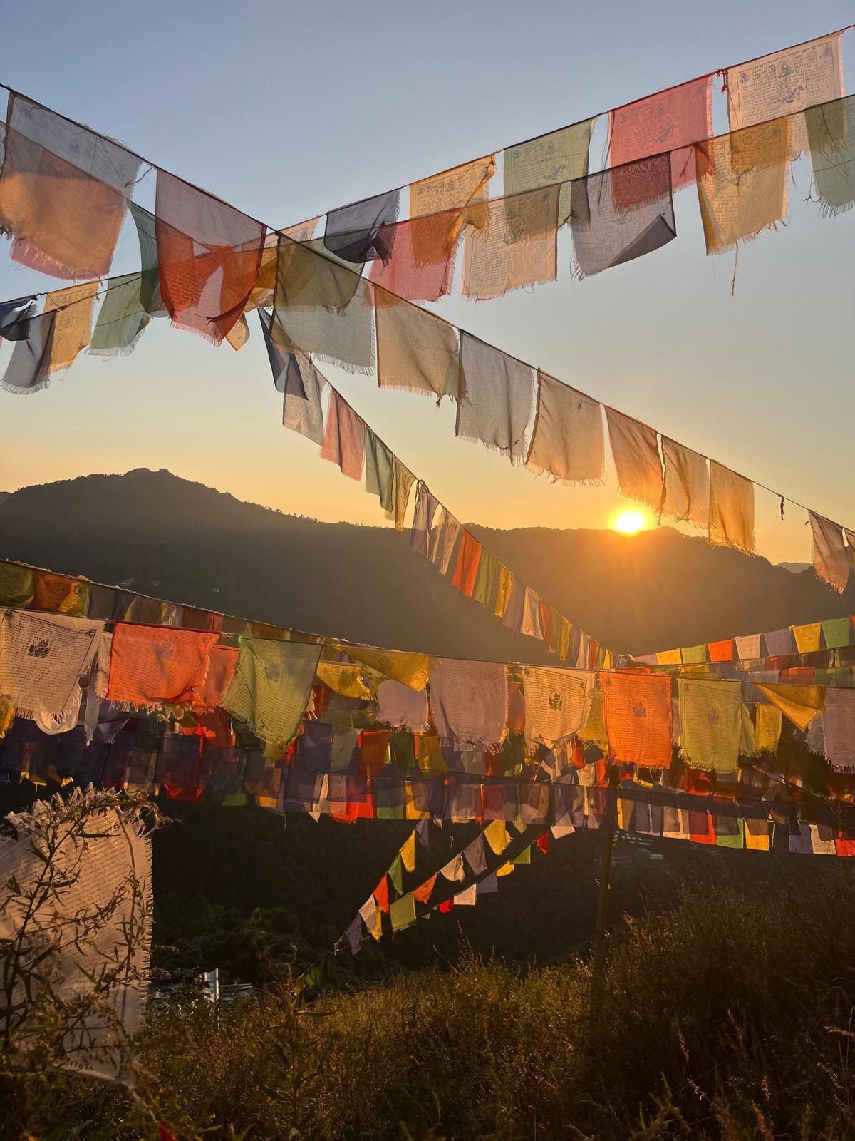 Alexander Petrov 's travel experience