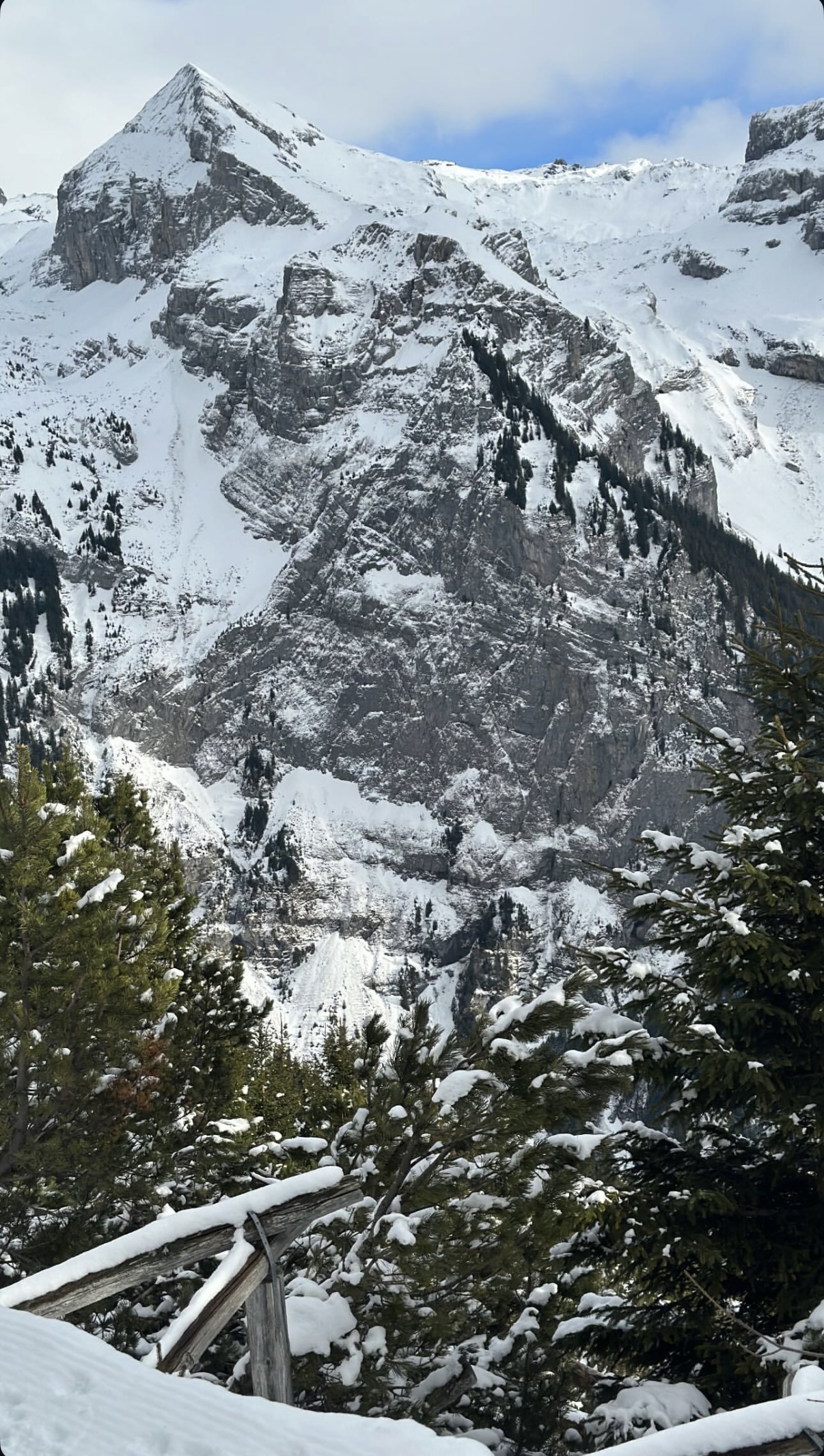 Marco Benedetti's travel experience